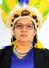 Foto de urna de Prof Katia Araujo
