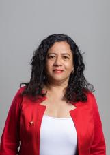 Foto de urna de Professora Hilvany